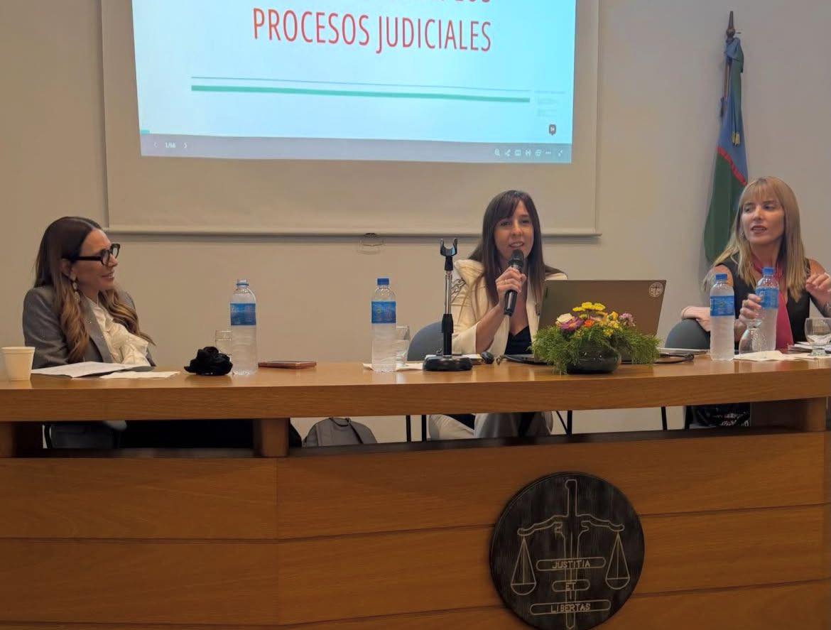 Colectivos vulnerables y acceso a la Justicia: una jornada de reflexión con especialistas