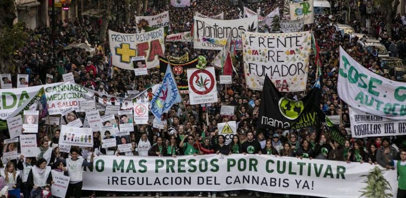 marcha-cannabis-medicinal-minjpg