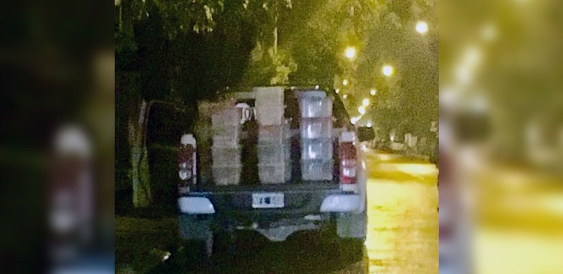 viandas-escolares-en-mal-estado-minjpg