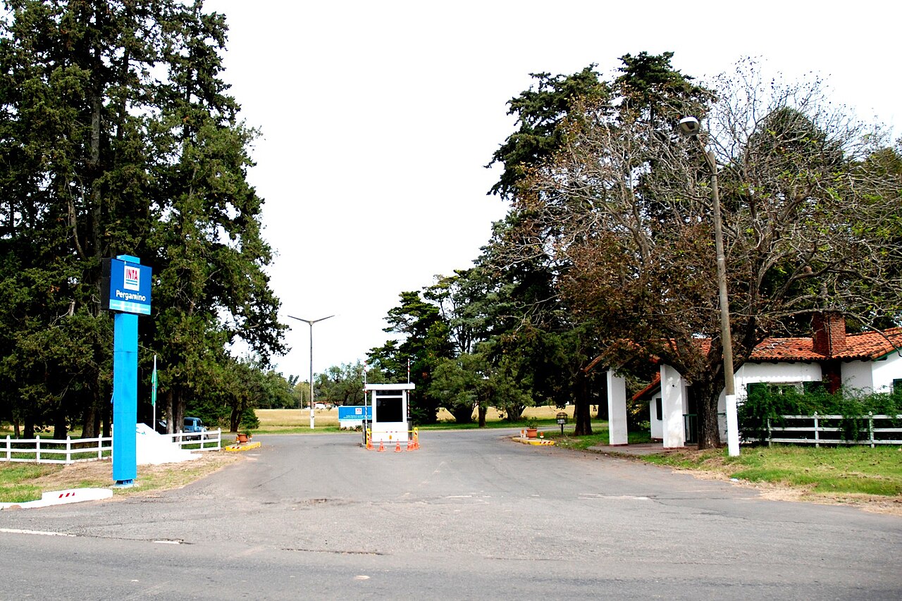 Nuevo golpe al suministro eléctrico: Robo de cables de media tensión en la zona del INTA