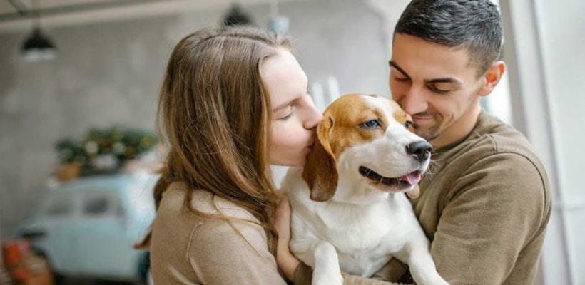 es un perro lamiendo tu cara una muestra de cariño