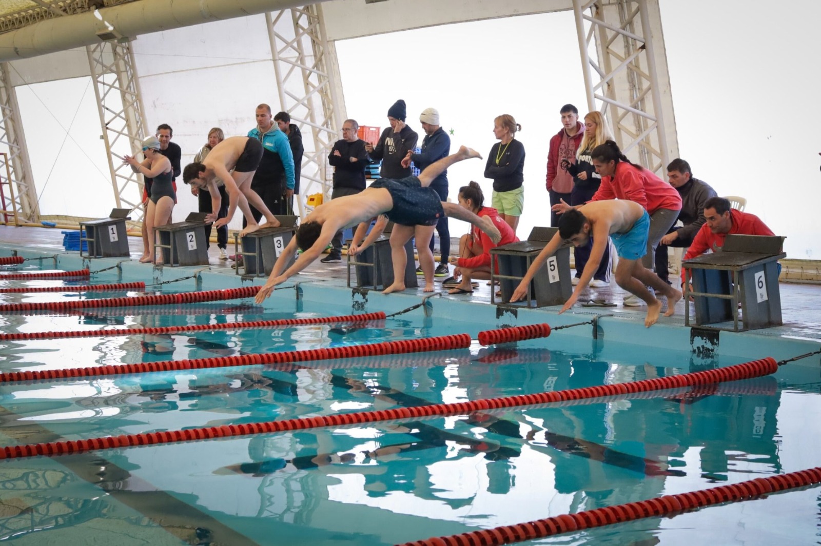 torneo-natacionjpeg