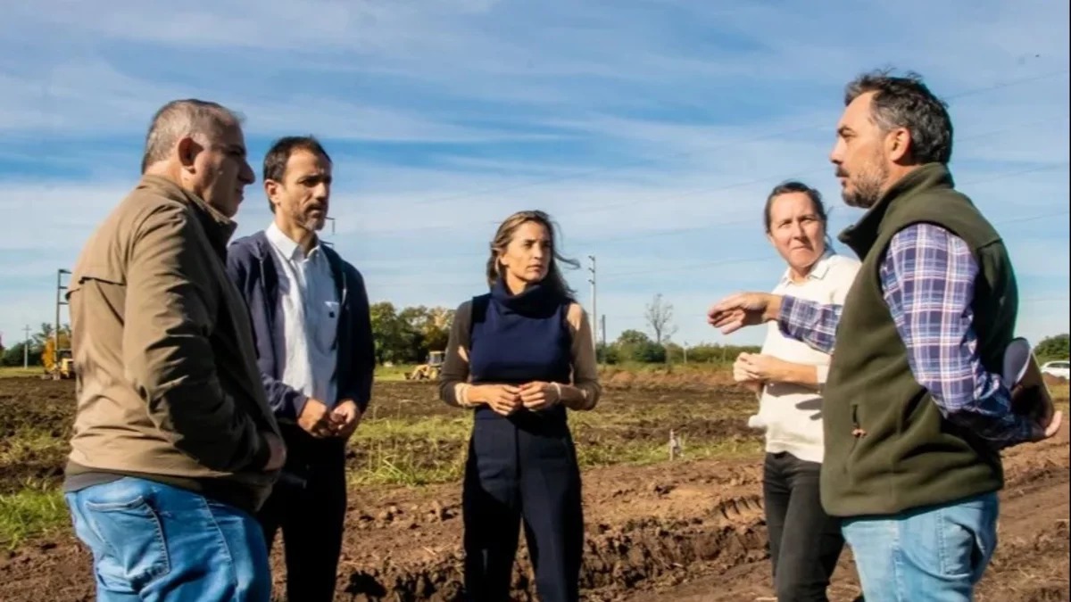 junin-proyectarjpg-1