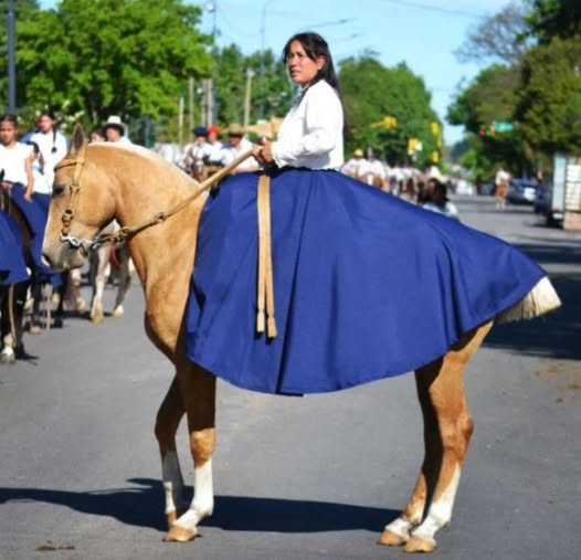 caballo-gauchajpg