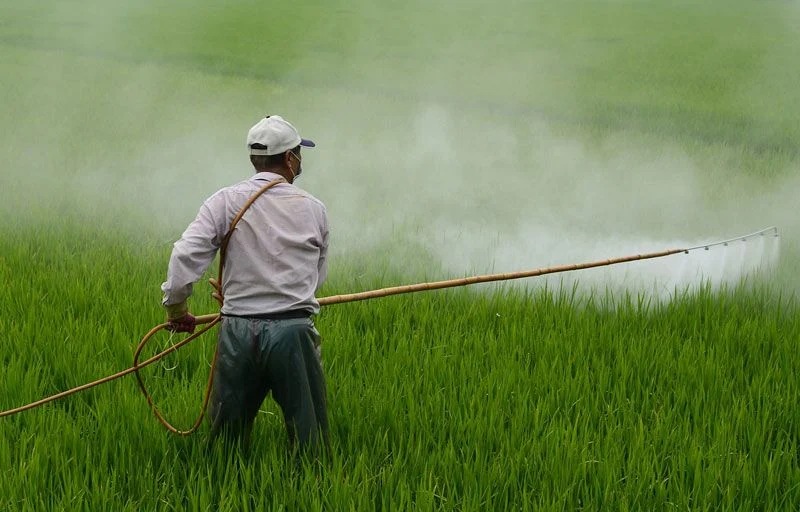 fumigacionesjpg