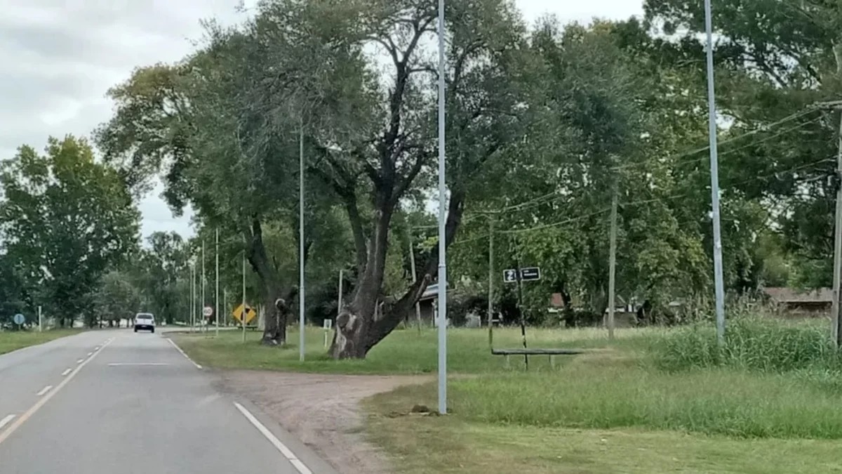 junin-luzjpg