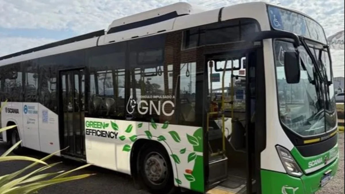 bondi-gncjpg