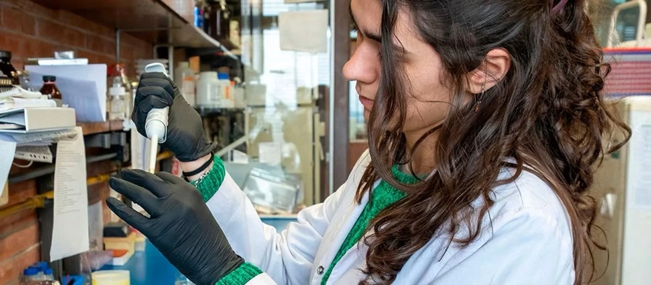 uba-investigacionjpg