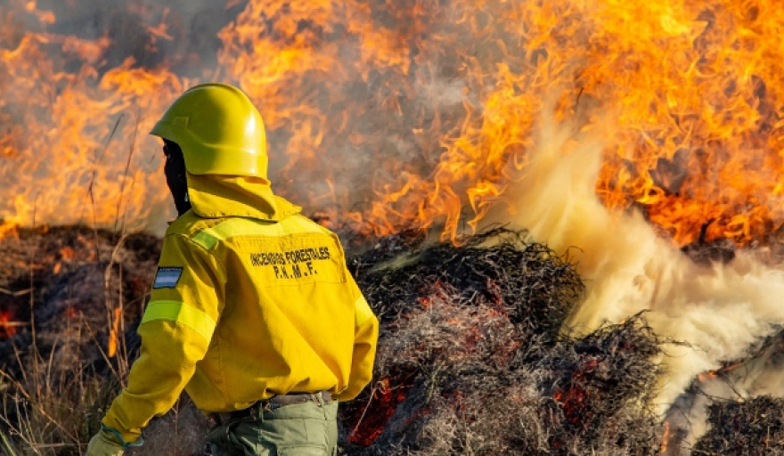 incendio-forestaljpg