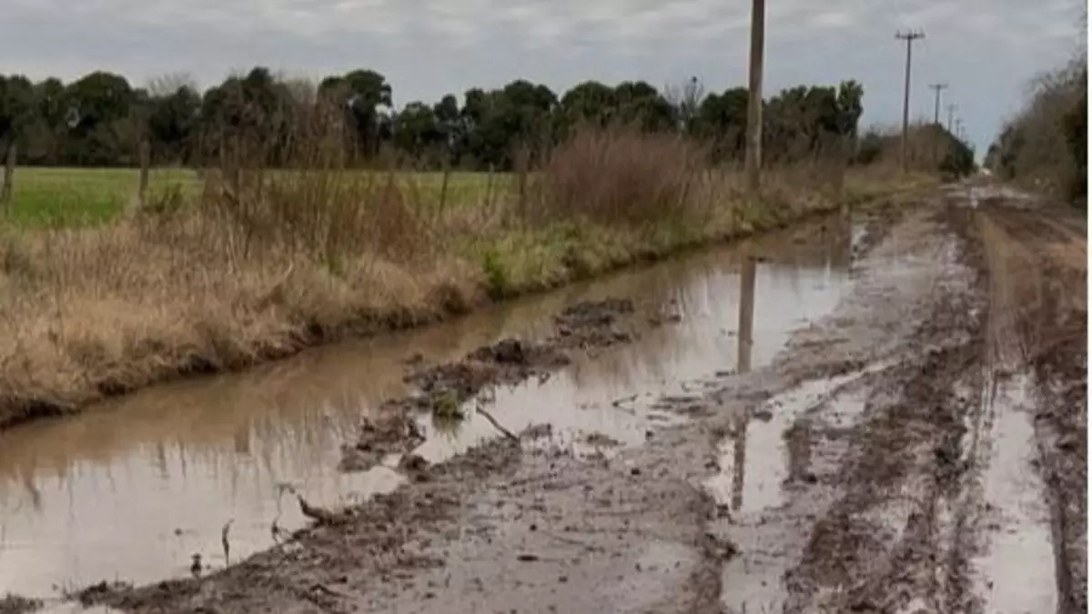 junin-caminojpg-3