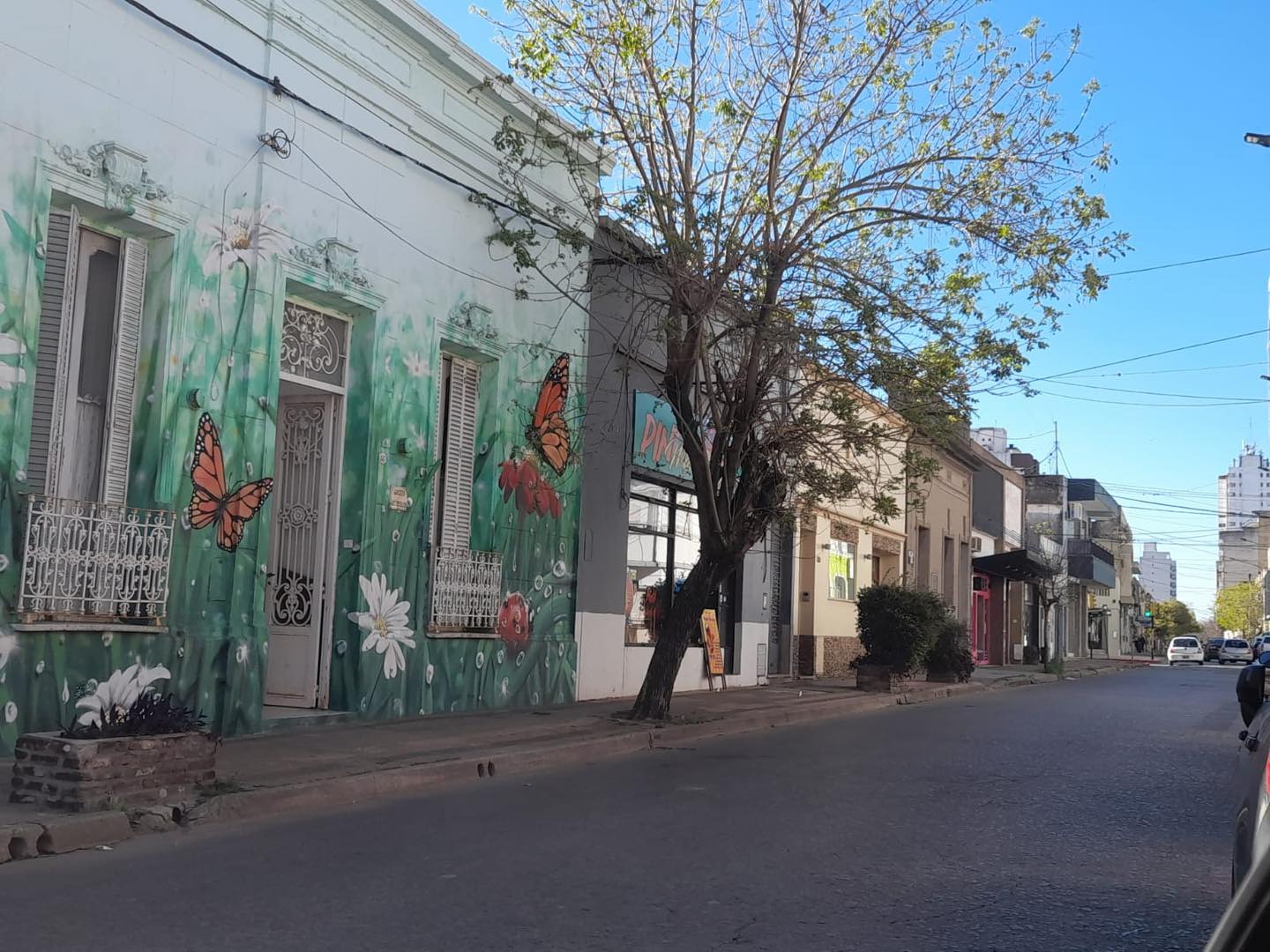 arbol-guarderiajpg