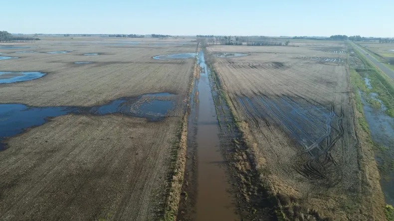 inundacion-campojpg