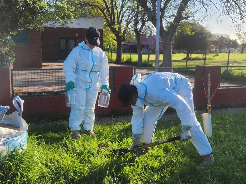 ayerza-agroquimicospng