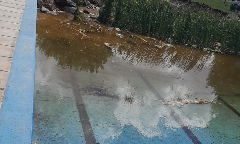 san-nicolas-piletapng