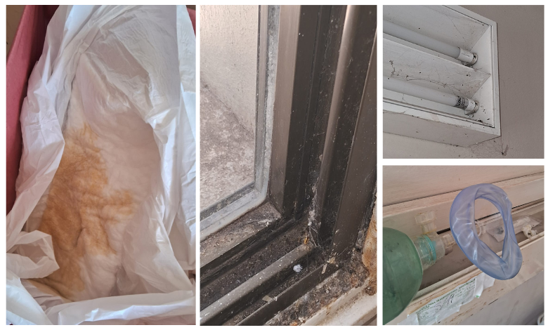 san-felipe-isumospng