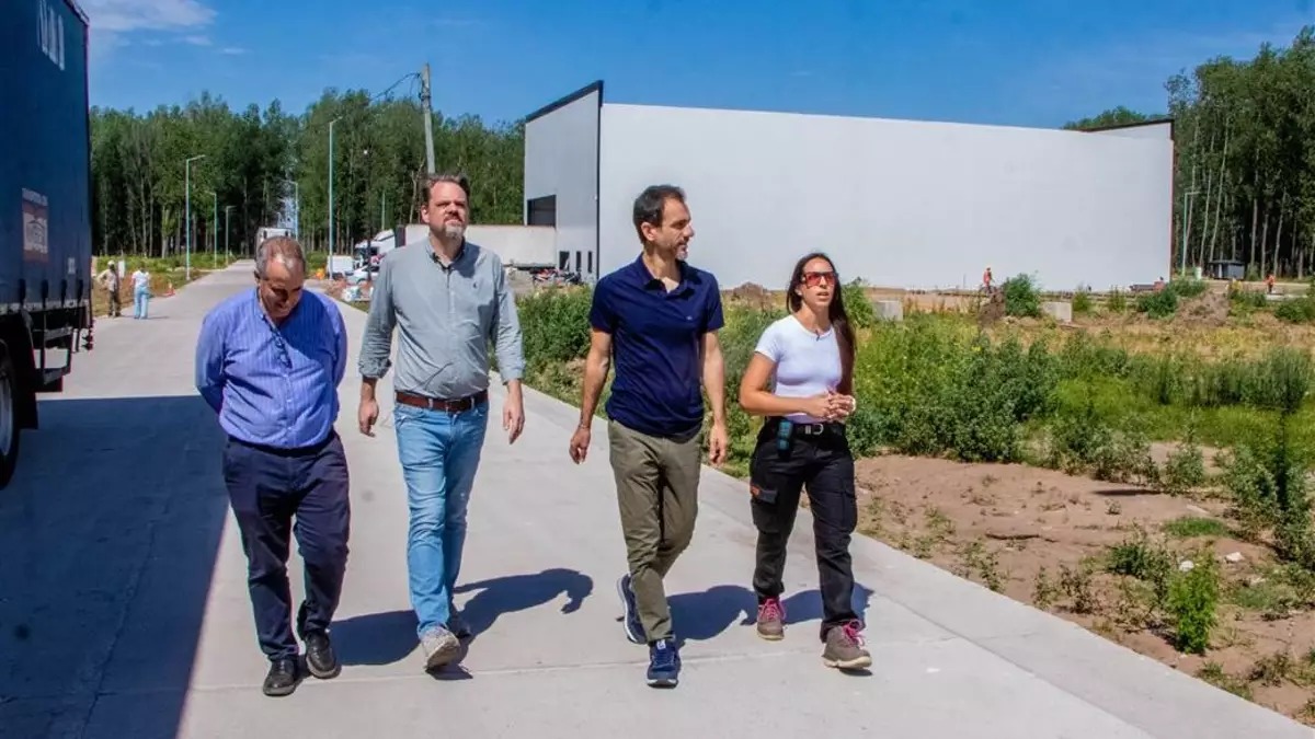 petrecca-caminatajpg