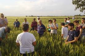 guamini-agroecologiajpg