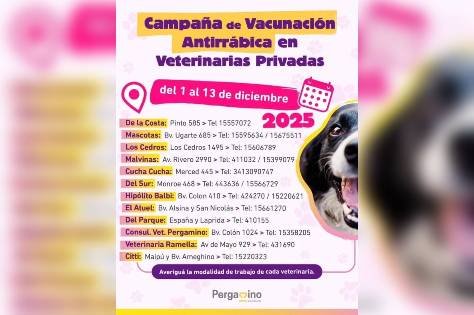 vacuna-antirrabicajpg