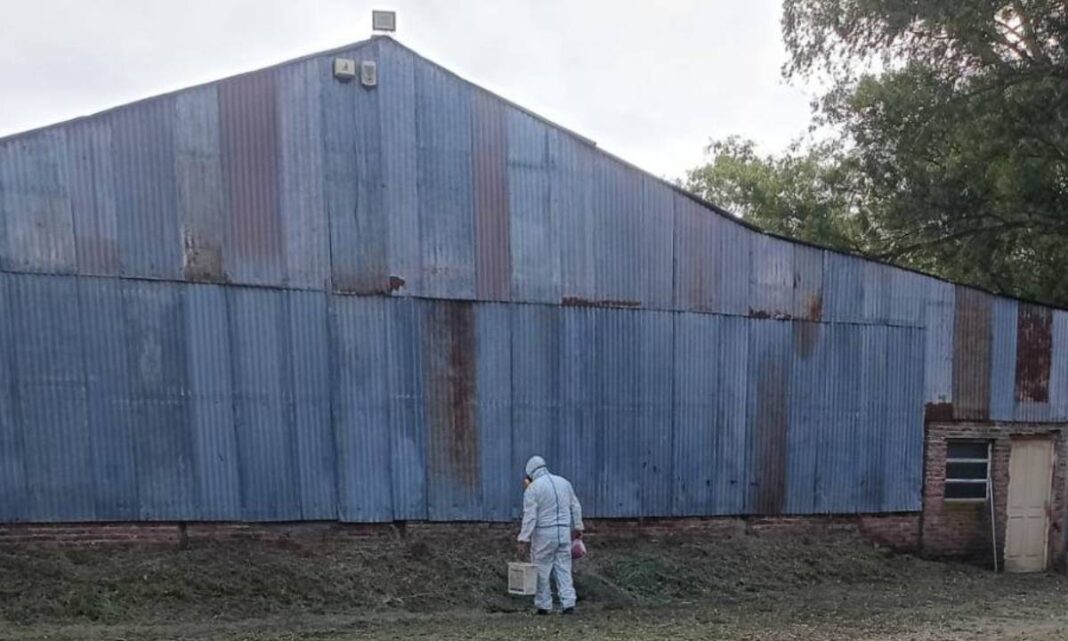 saladillo-hantavirusjpg