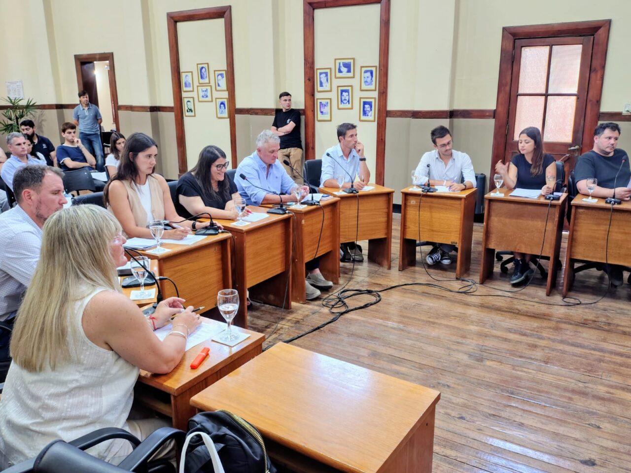 venado-concejalesjpg