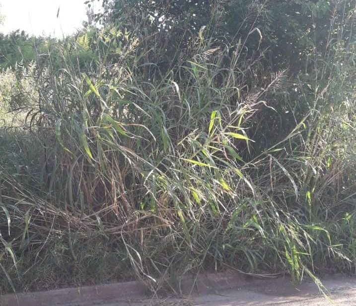 villa-alicia-reclamojpg